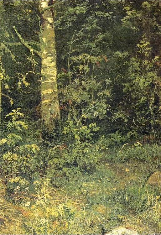 Birch and Pocks, Ivan Shishkin